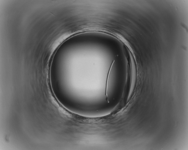 X0000103251005200808281459