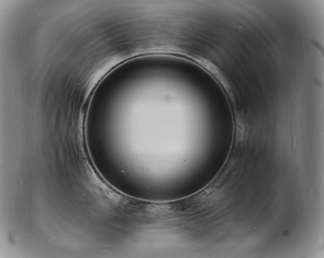 X0000103251006200808281459