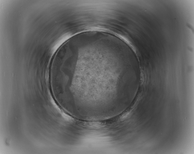 X0000103251007200808281459