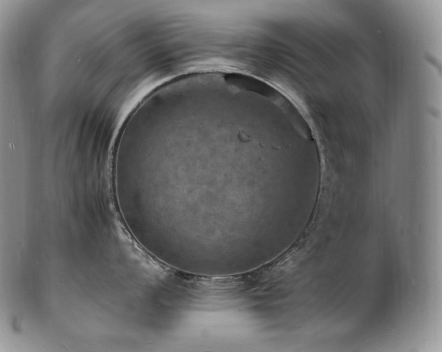 X0000103251008200808281459