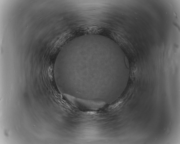 X0000103251010200808281459