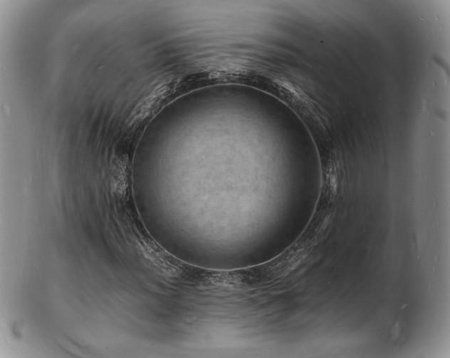 X0000103251012200808281459