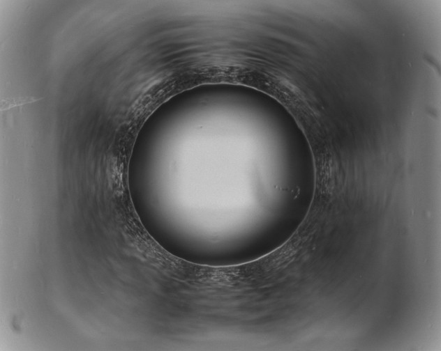 X0000103251013200808281459