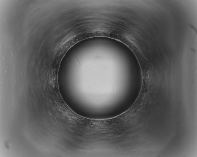 X0000103251015200808281459