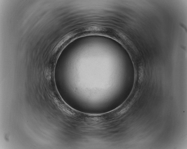 X0000103251017200808281459