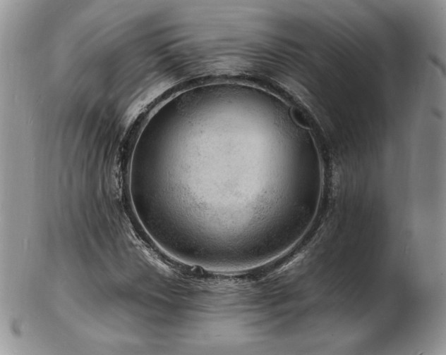 X0000103251018200808281459