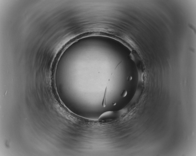 X0000103251020200808281459