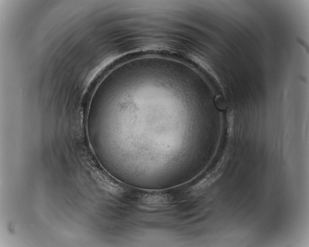 X0000103251021200808281459