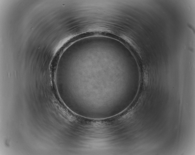 X0000103251022200808281459