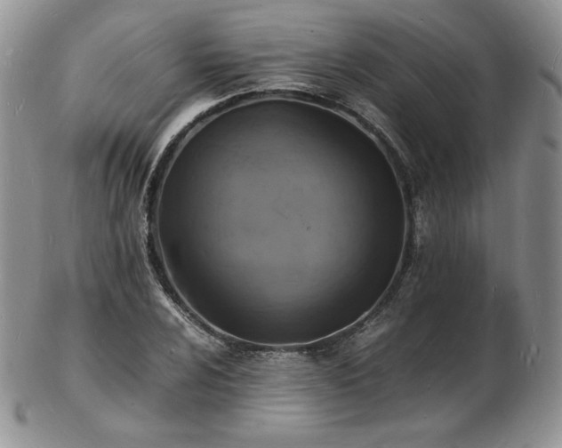 X0000103251024200808281459