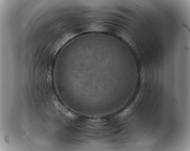 X0000103251025200808281459