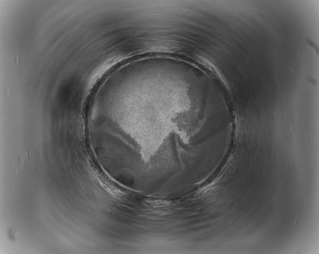 X0000103251027200808281459