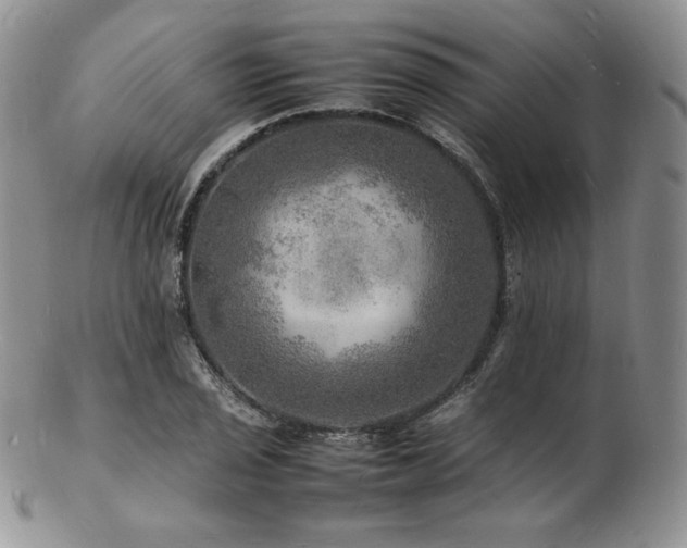 X0000103251029200808281459