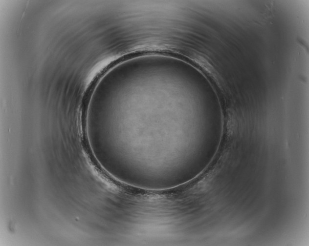 X0000103251030200808281459