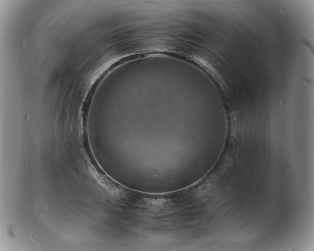 X0000103251031200808281459