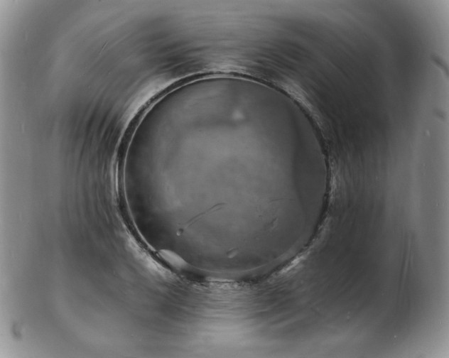 X0000103251032200808281459