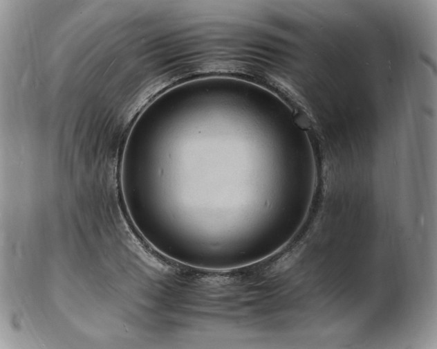X0000103251033200808281459