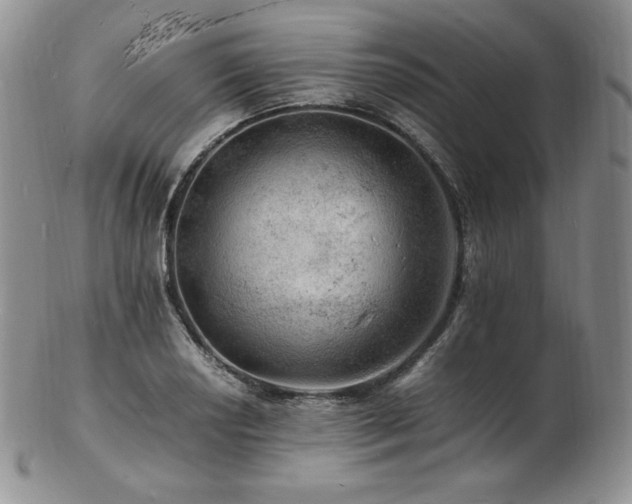 X0000103251034200808281459