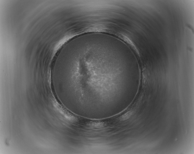 X0000103251035200808281459