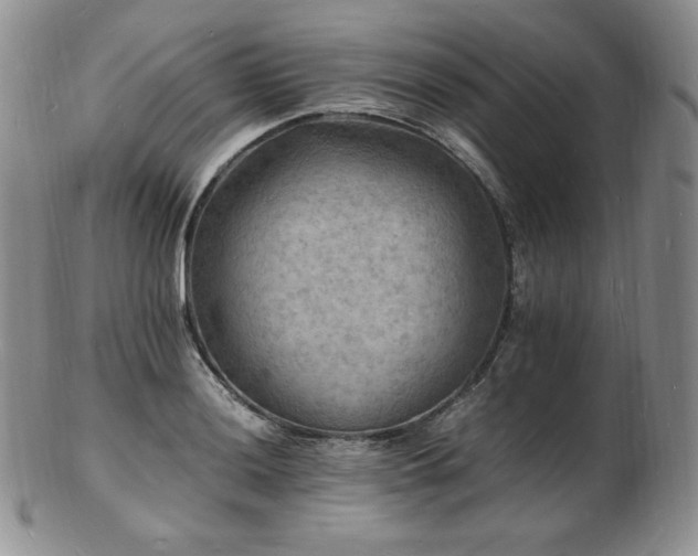 X0000103251036200808281459