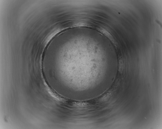 X0000103251039200808281459