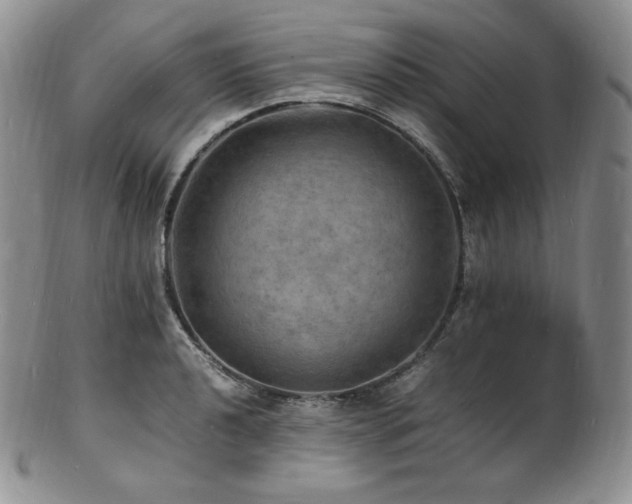 X0000103251040200808281459