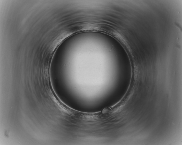 X0000103251041200808281459