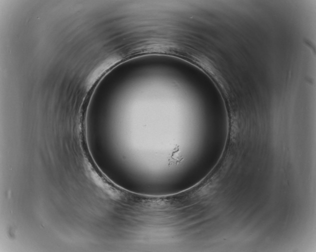 X0000103251042200808281459