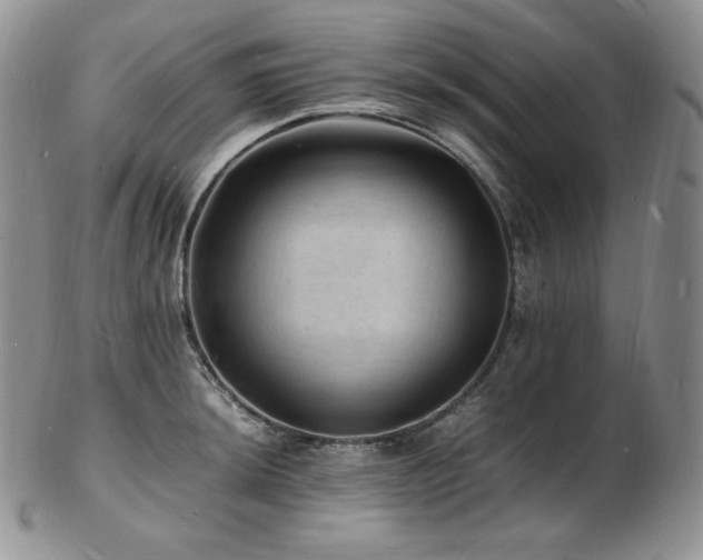 X0000103251044200808281459