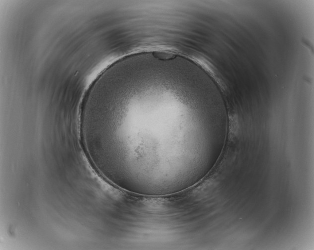 X0000103251046200808281459