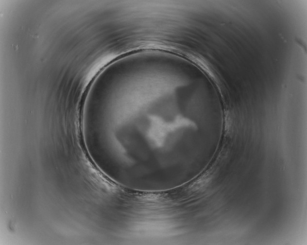 X0000103251048200808281459