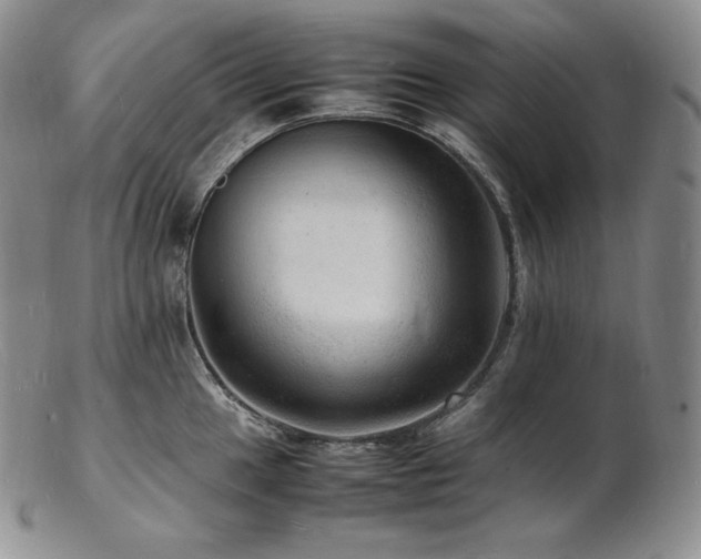 X0000103251049200808281459