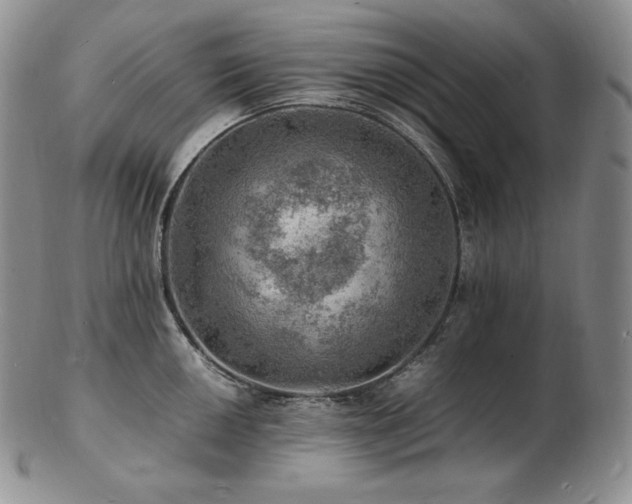 X0000103251050200808281459