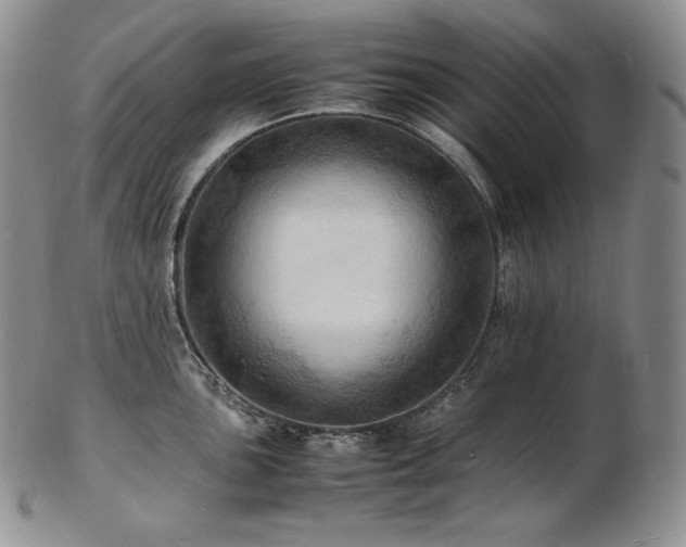 X0000103251051200808281459
