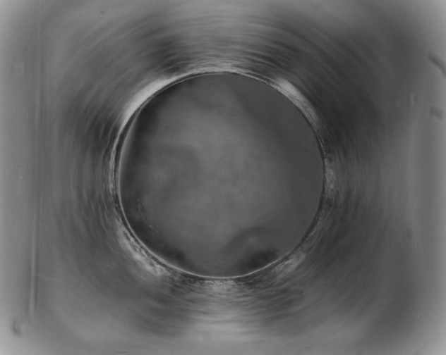 X0000103251052200808281459