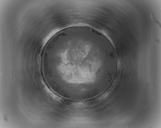 X0000103251054200808281459