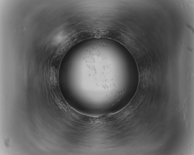 X0000103251058200808281458