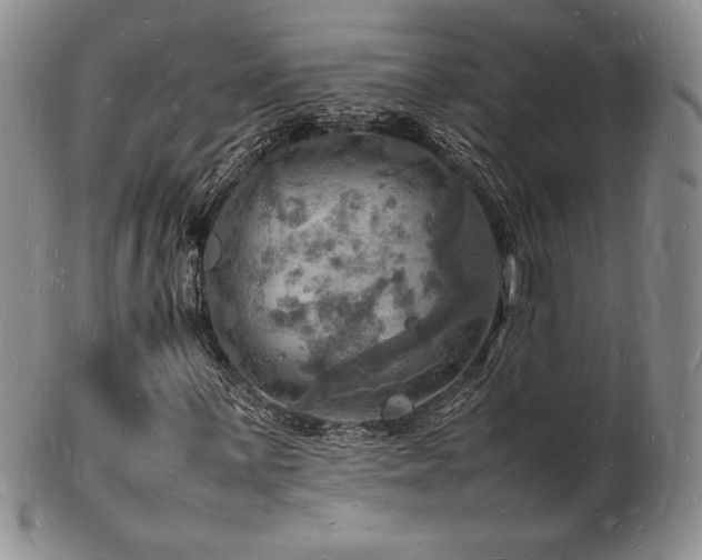X0000103251059200808281458