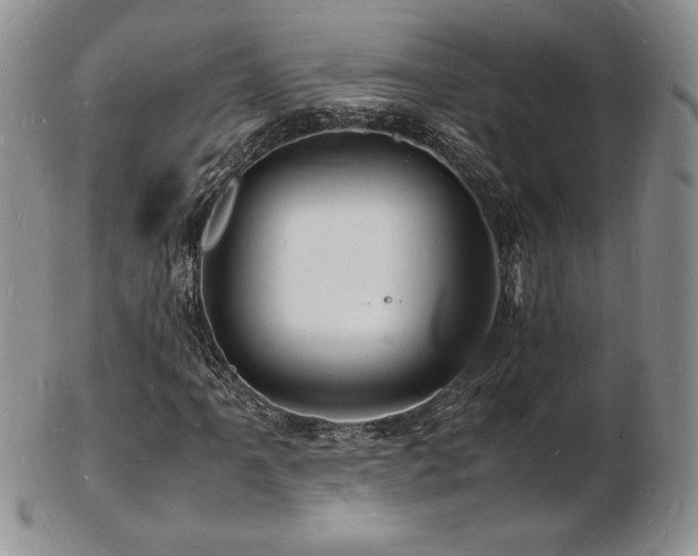 X0000103251061200808281458