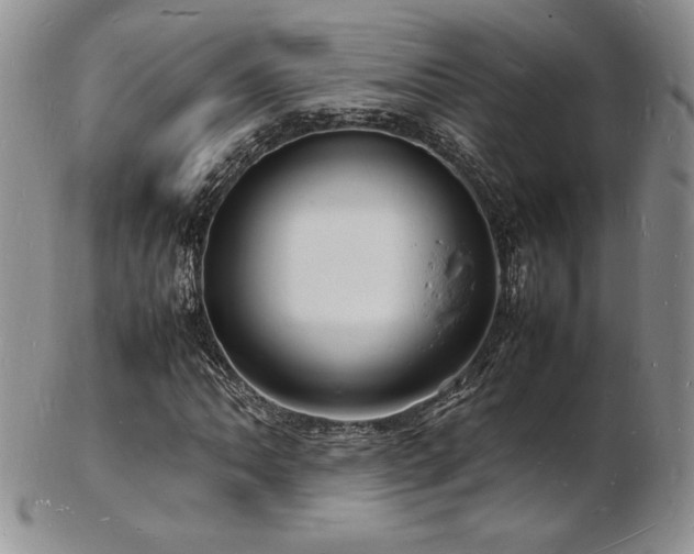 X0000103251062200808281458