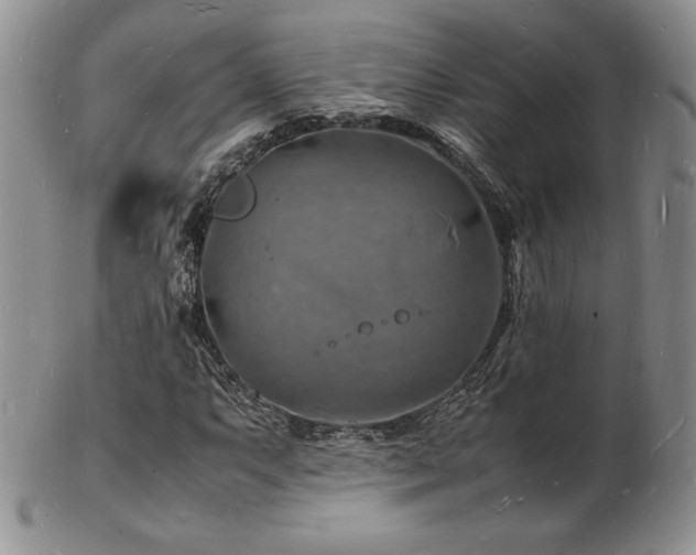 X0000103251063200808281458