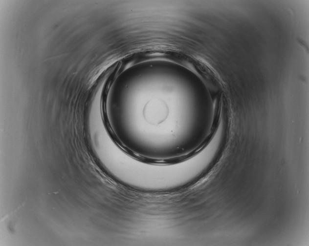 X0000103251065200808281458
