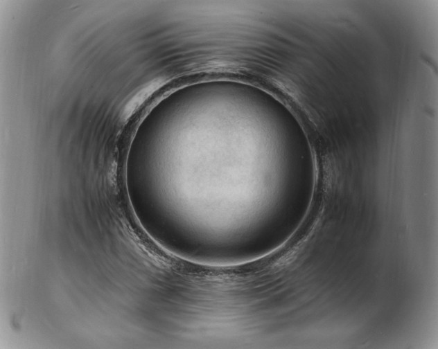 X0000103251066200808281458