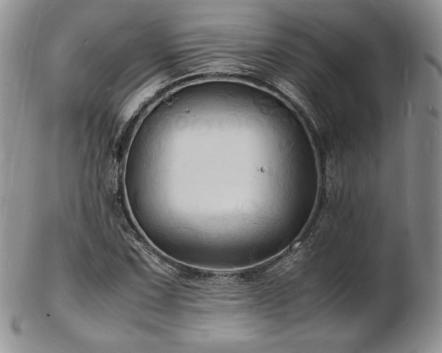 X0000103251067200808281458