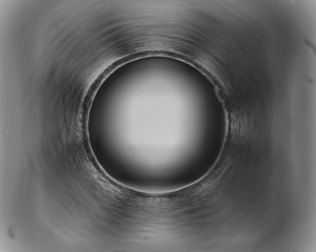 X0000103251068200808281458
