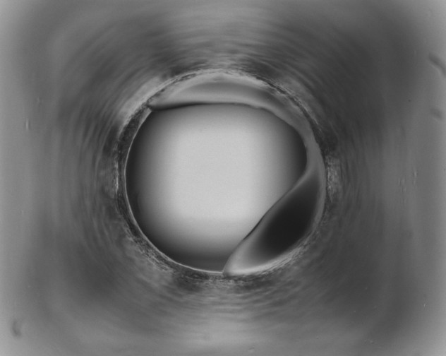 X0000103251069200808281458
