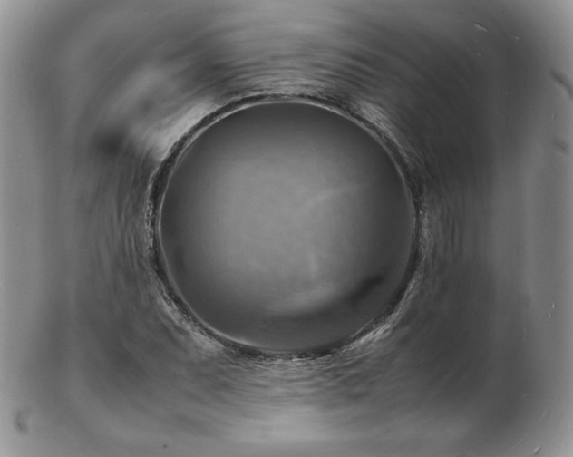X0000103251071200808281458