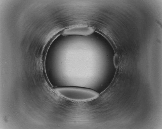 X0000103251072200808281458