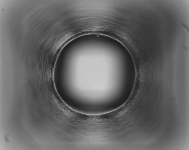 X0000103251073200808281458