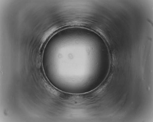X0000103251075200808281458